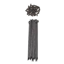 RAYONS SHADOW STRAIGHT 182 MM NOIR